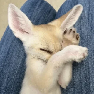 😊