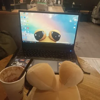 💻