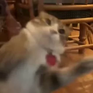 😳