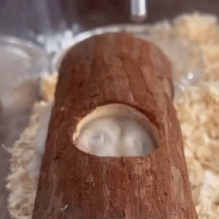 😦