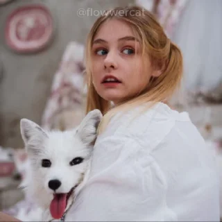 Персиковый Лес @persikoviylessss