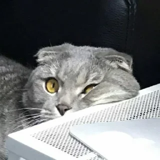 😕
