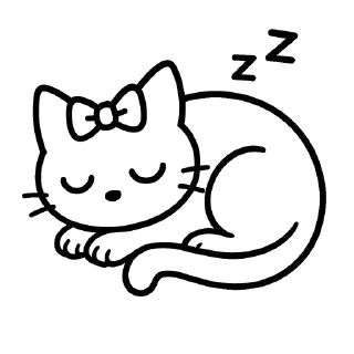 💤