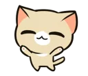 🐱
