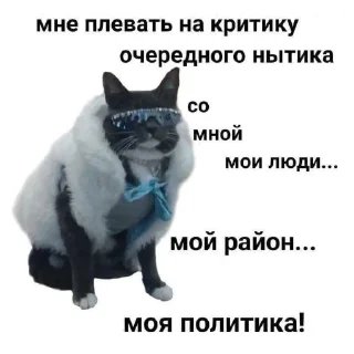 🐱