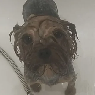😐