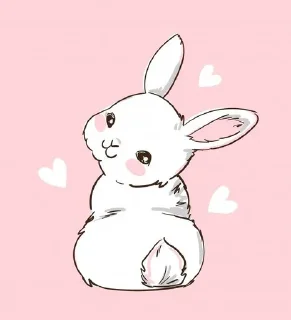 🐰