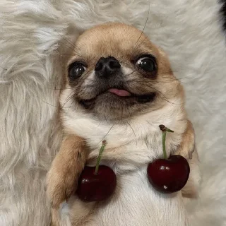 🍒