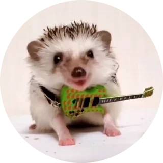 🦔
