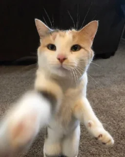 👋