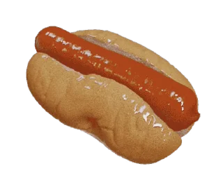 🌭