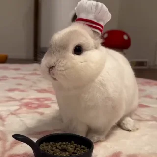 🤩