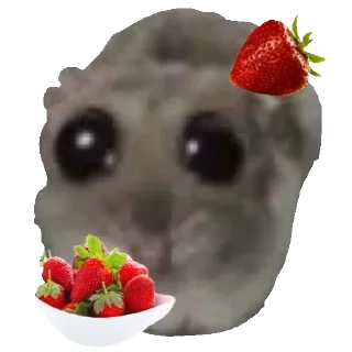 🍓