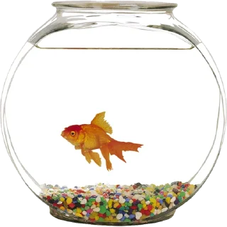 🐠