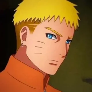 🦊