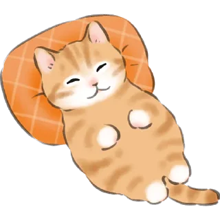😴