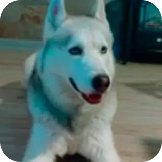 👍