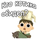 🙀