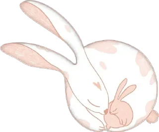 🐰