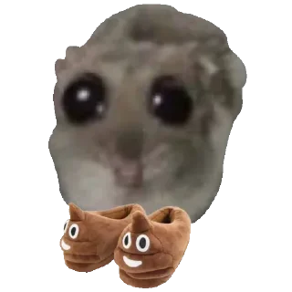 💩