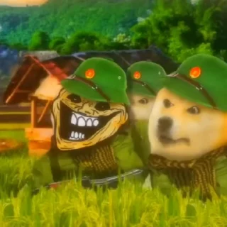 🇻🇳