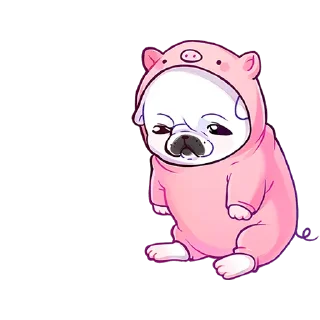 🐷