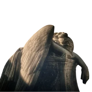 🕊️
