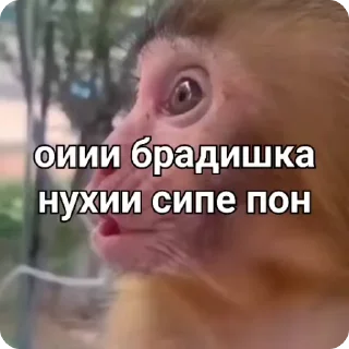 😱