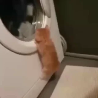 🤯