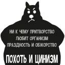 😾