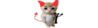 🐈