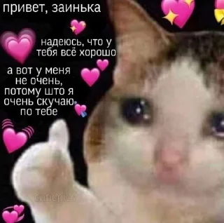 🥺