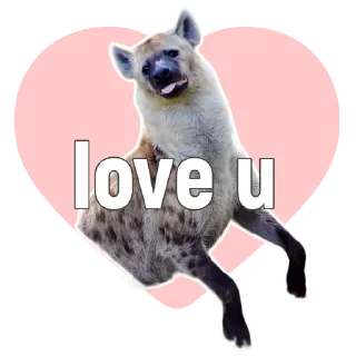 ❤
