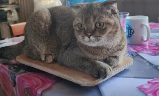 ❤️