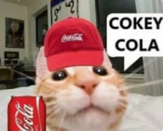 😼