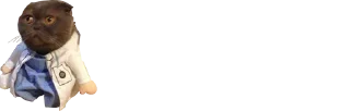👨‍⚕️