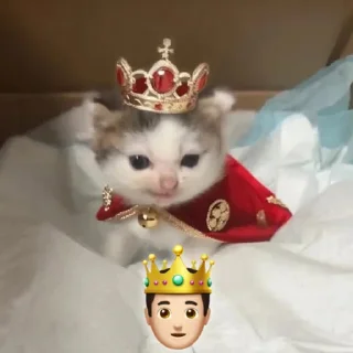 🤴
