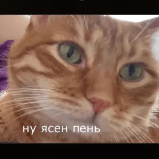 😌