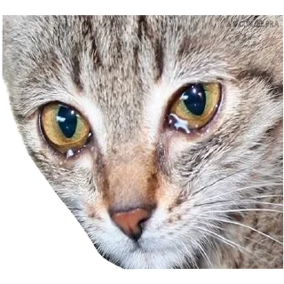 😫