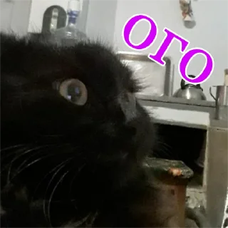 😳