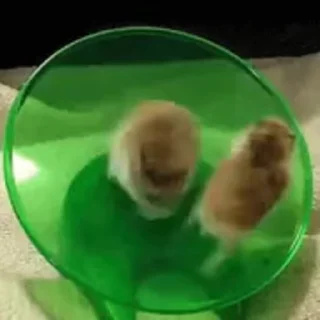 😁