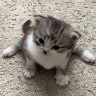 😐
