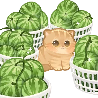 🍉