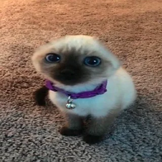 🙂