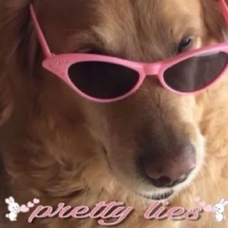 😎
