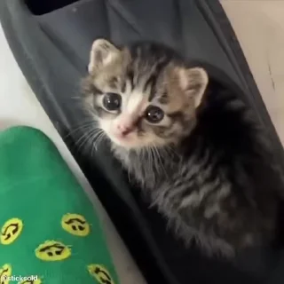 ☺️