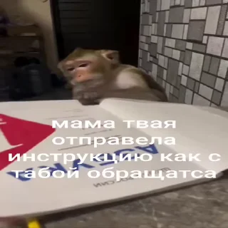 🐵