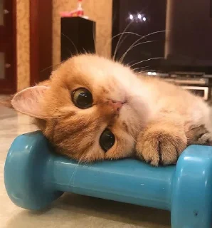 😍