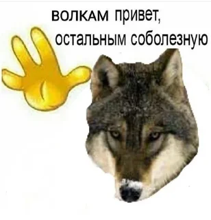 🐺