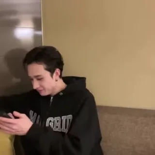 🪰